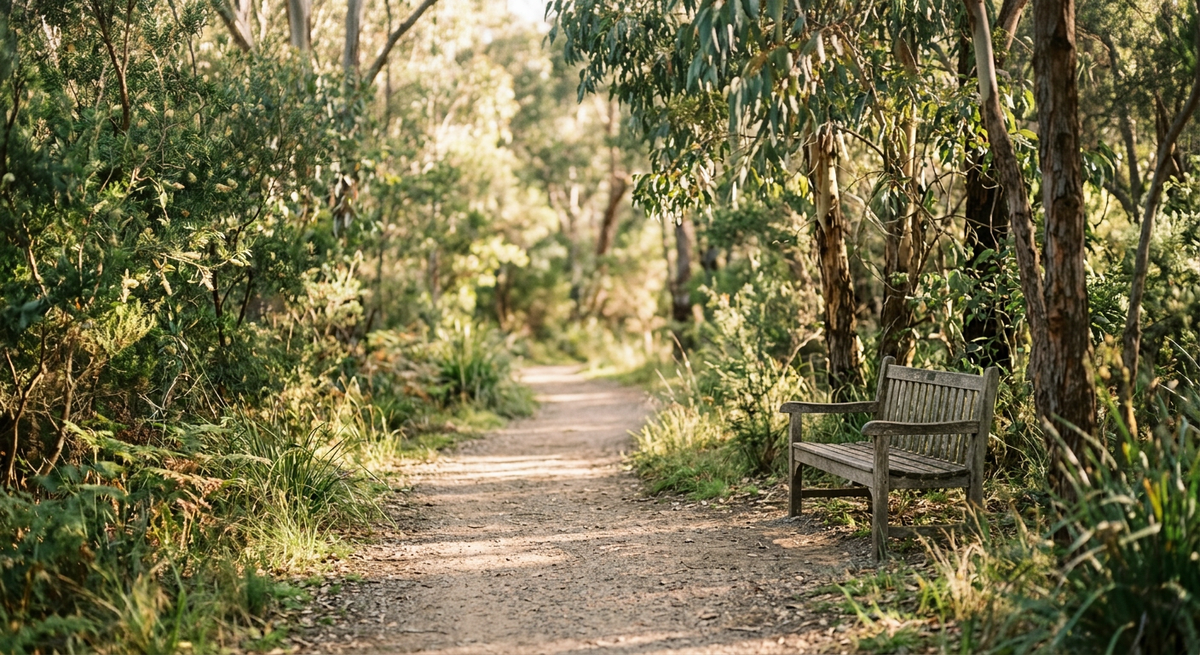 A quiet bush path with a timber bench, the kind of walk a wheelchair makes possible again
